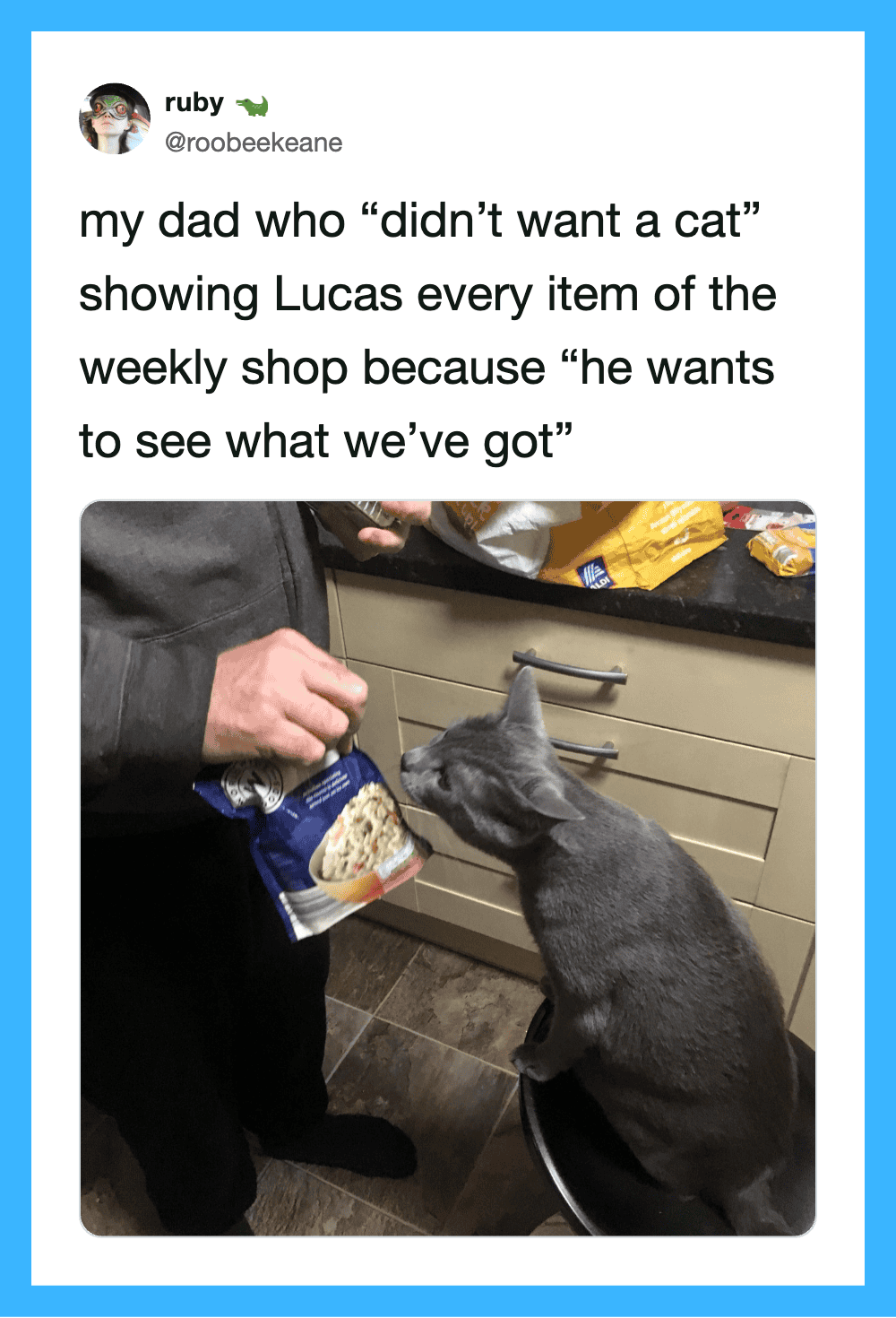 Dad showing Lucas items from the weekly shop, Lucas the cat looking at the items.