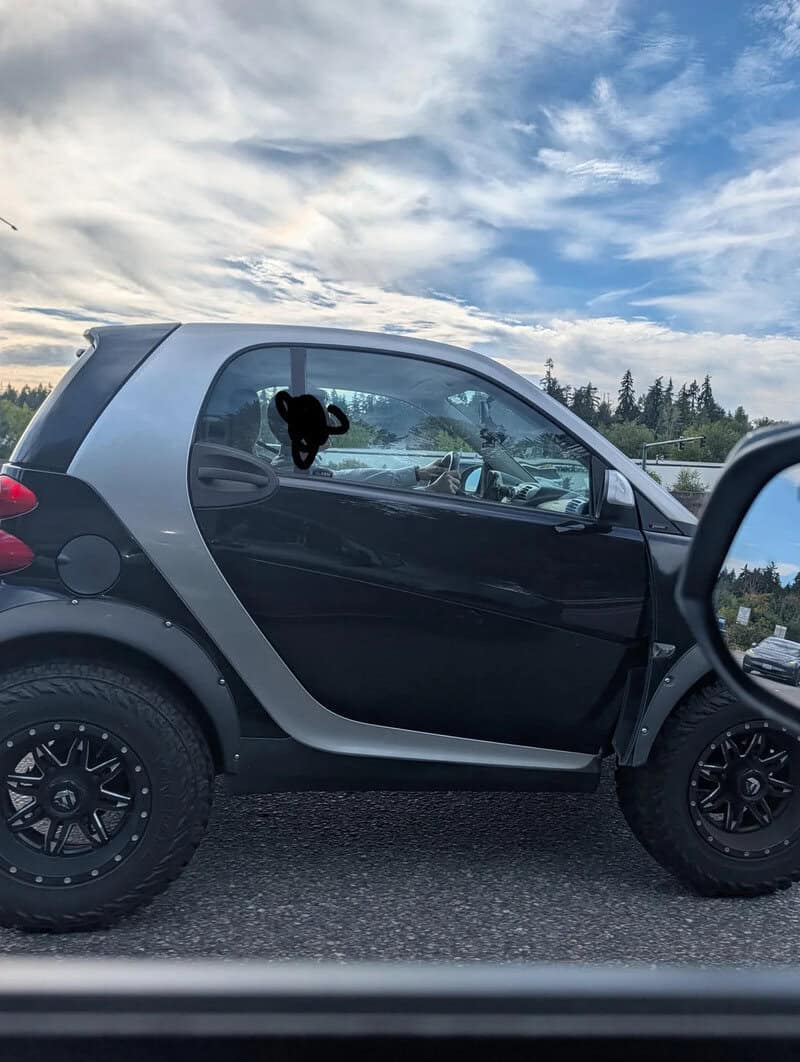 Smart car with a black sticker of a monkey on the window, under a cloudy sky.
