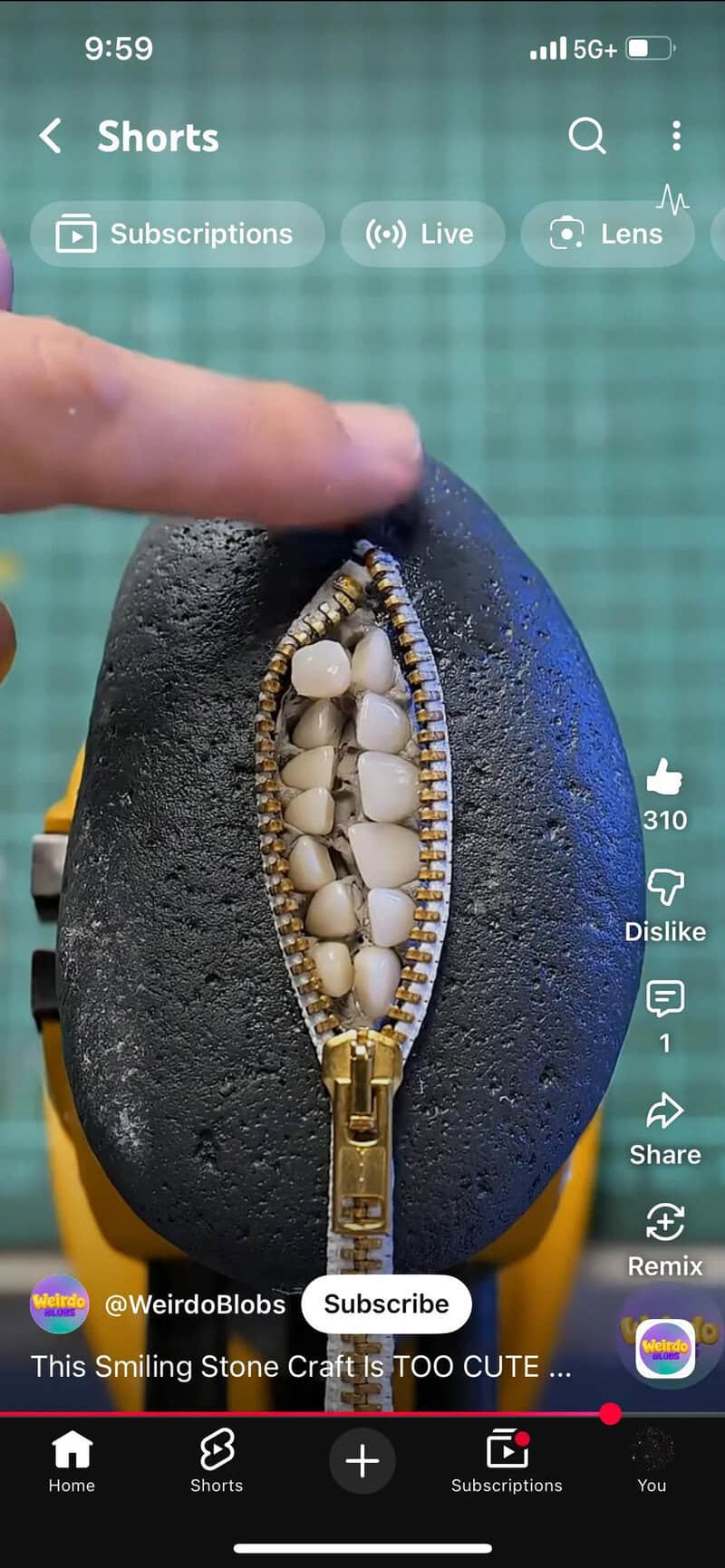 A black stone with a zipper opening revealing small white objects inside.