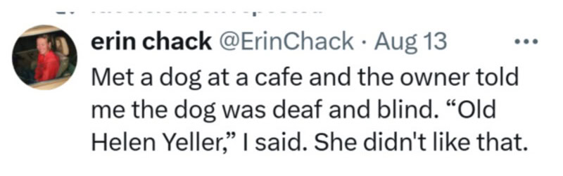 A tweet about meeting a deaf and blind dog named Helen Yeller.