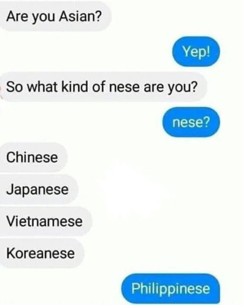 Chat conversation about Asian nationalities, with humorous misspelling of 'nose' as 'nese' and 'Phil.
