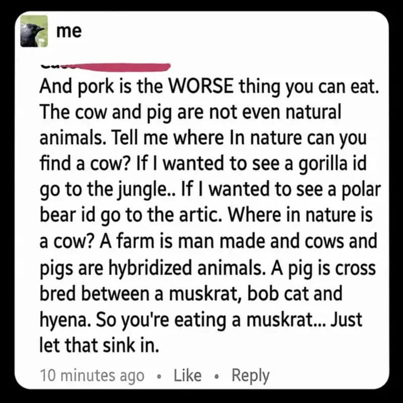 Text discussing animals, criticizing pork, and questioning natural animals and farm animals.