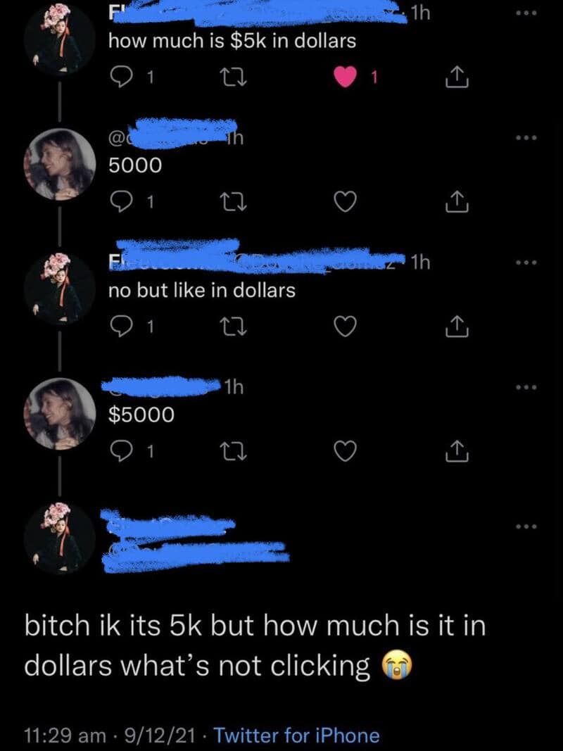 Twitter conversation about $5,000 in dollars, with a person wearing a flower crown.
