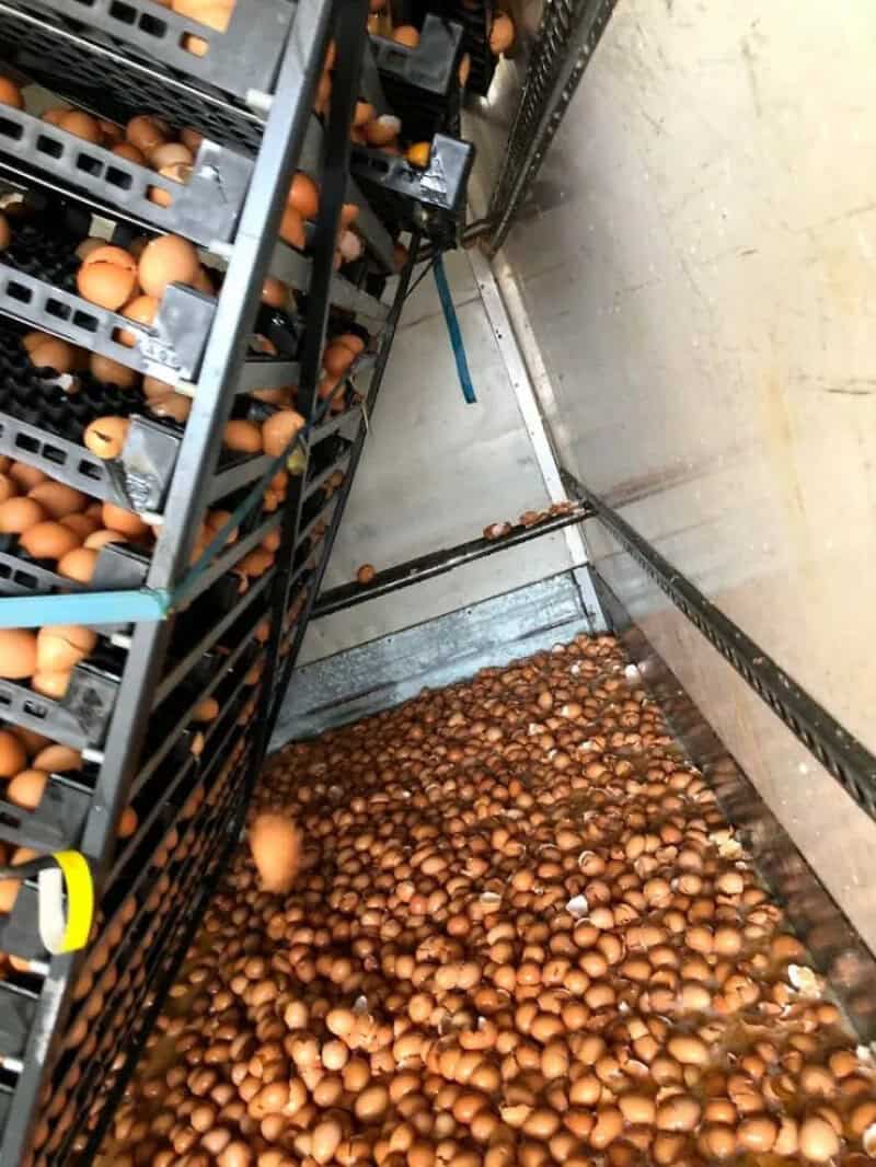 Eggs spilled on the floor after a failed attempt to store them properly.
