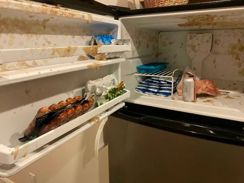 Dirty, messy refrigerator with spoiled food and stains.
