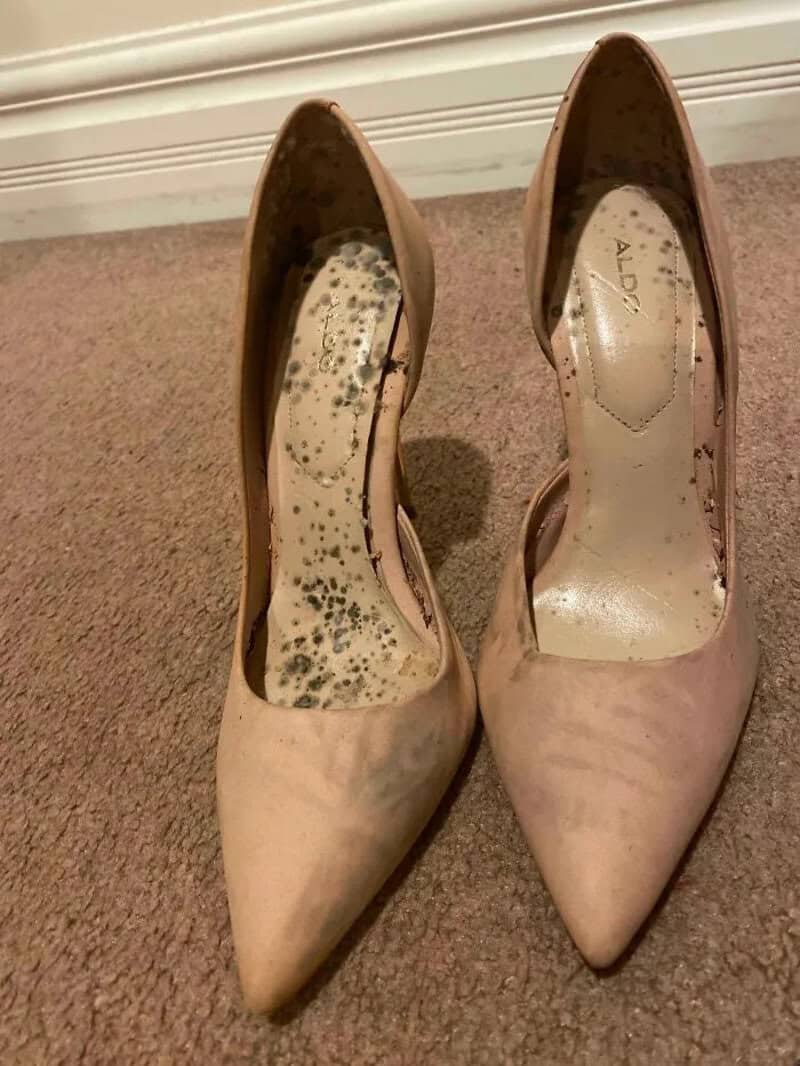 Pair of beige high heels with mold and moldy insoles.