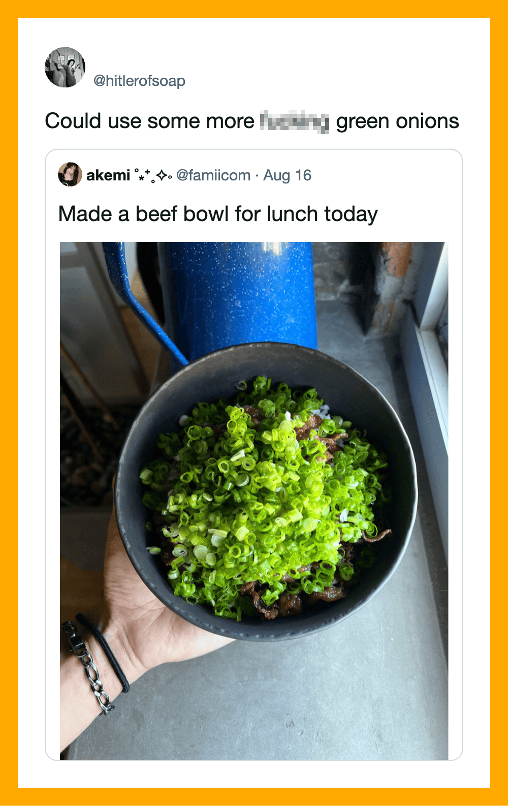 A bowl of beef with green onions on top, held by a person near a window.