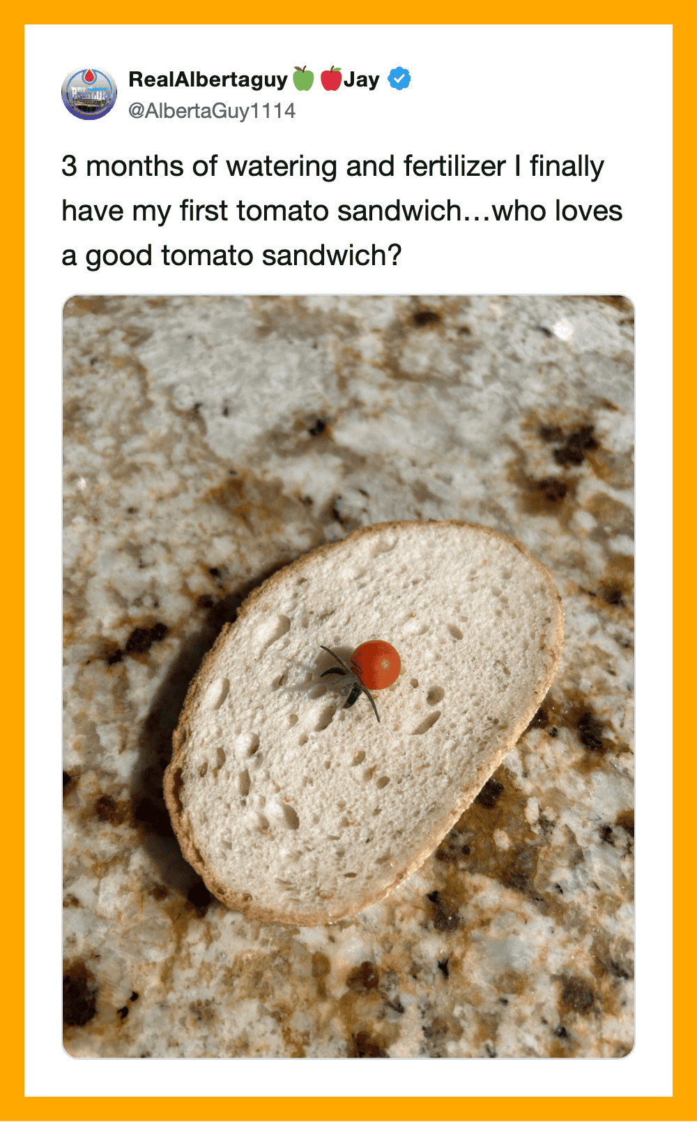 Slice of bread with a cherry tomato on top, on a granite countertop.