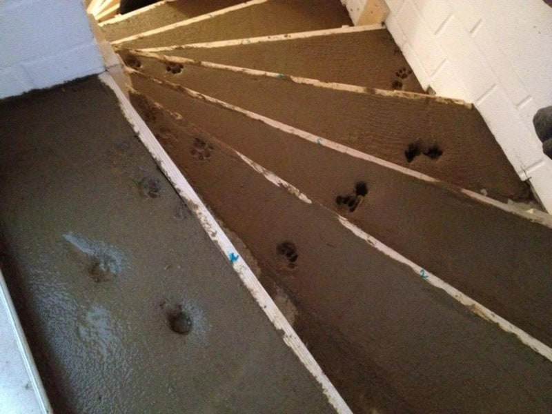 Unfinished staircase with uneven steps and black marks on the treads.