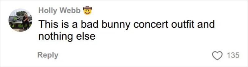 Comment by Holly Webb about a bunny concert outfit.