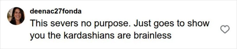 Instagram comment criticizing Kardashians as brainless.