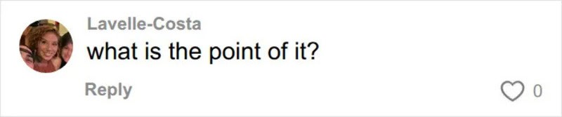 Instagram comment by Lavelle-Costa asking 'what is the point of it?.
