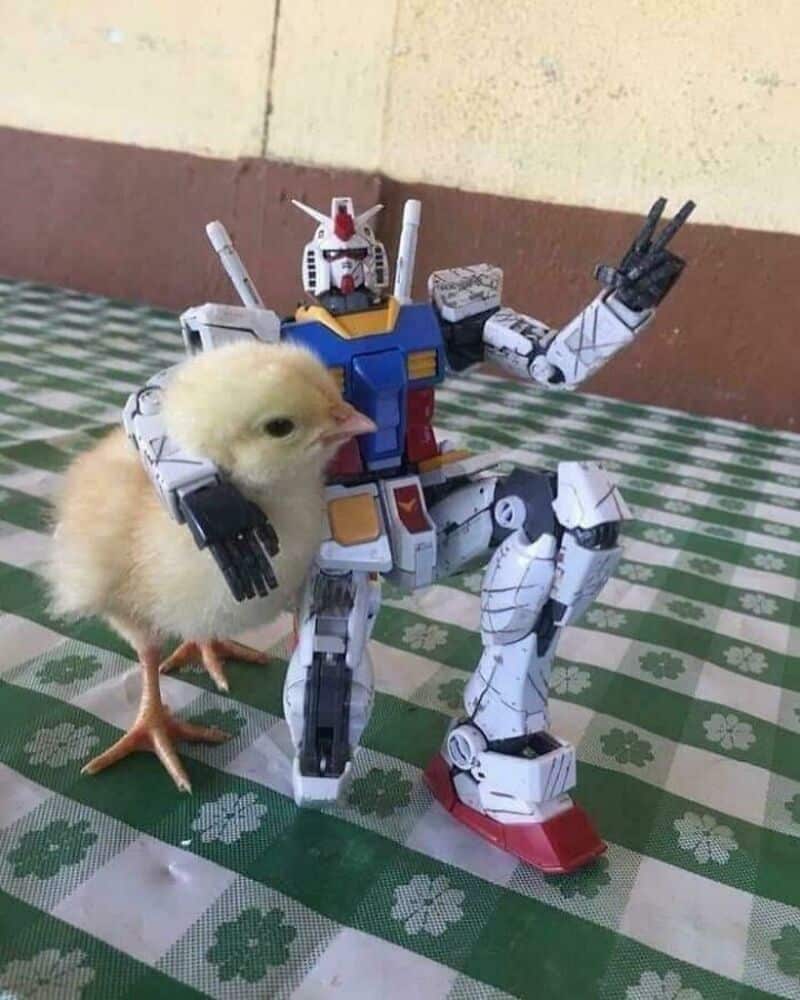 A chick standing next to a Gundam model on a checkered tablecloth.