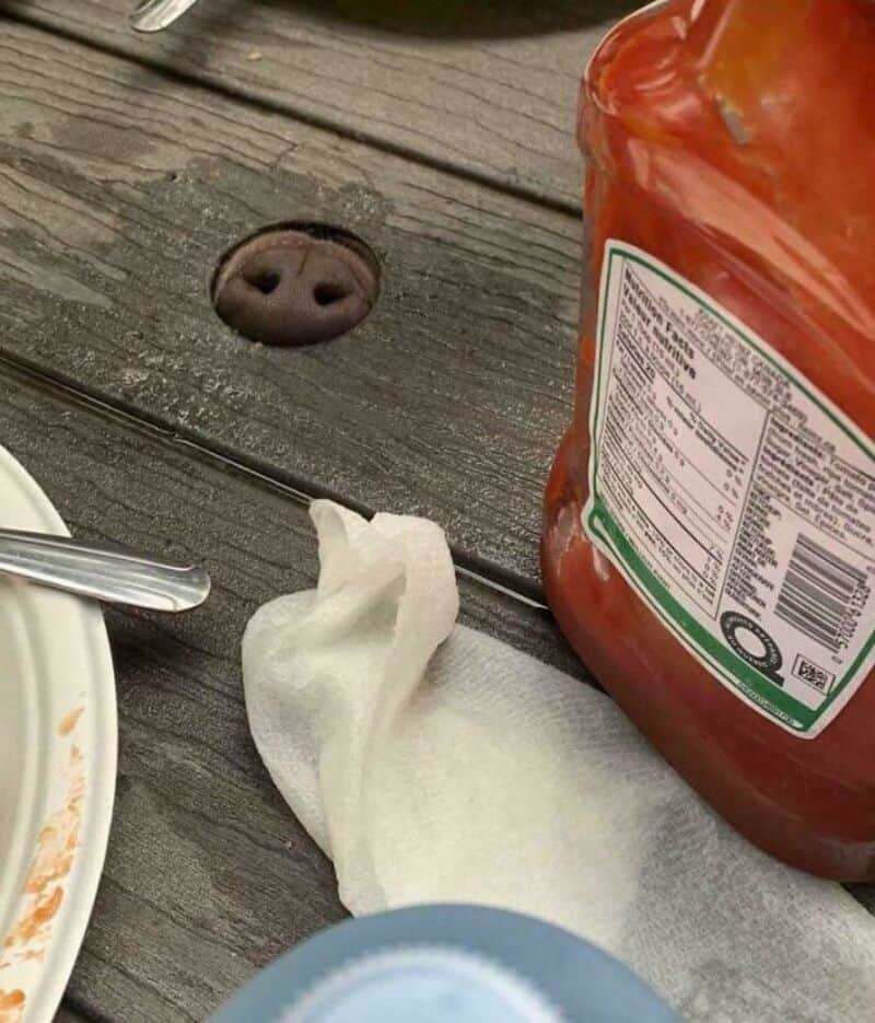 A sock on a wooden table near a ketchup bottle and a plate of food.