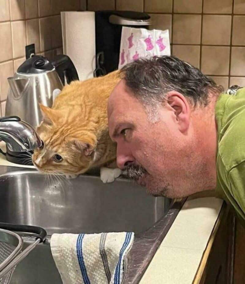 Man and cat both drinking from the sink, nose to nose, in a humorous pose.
