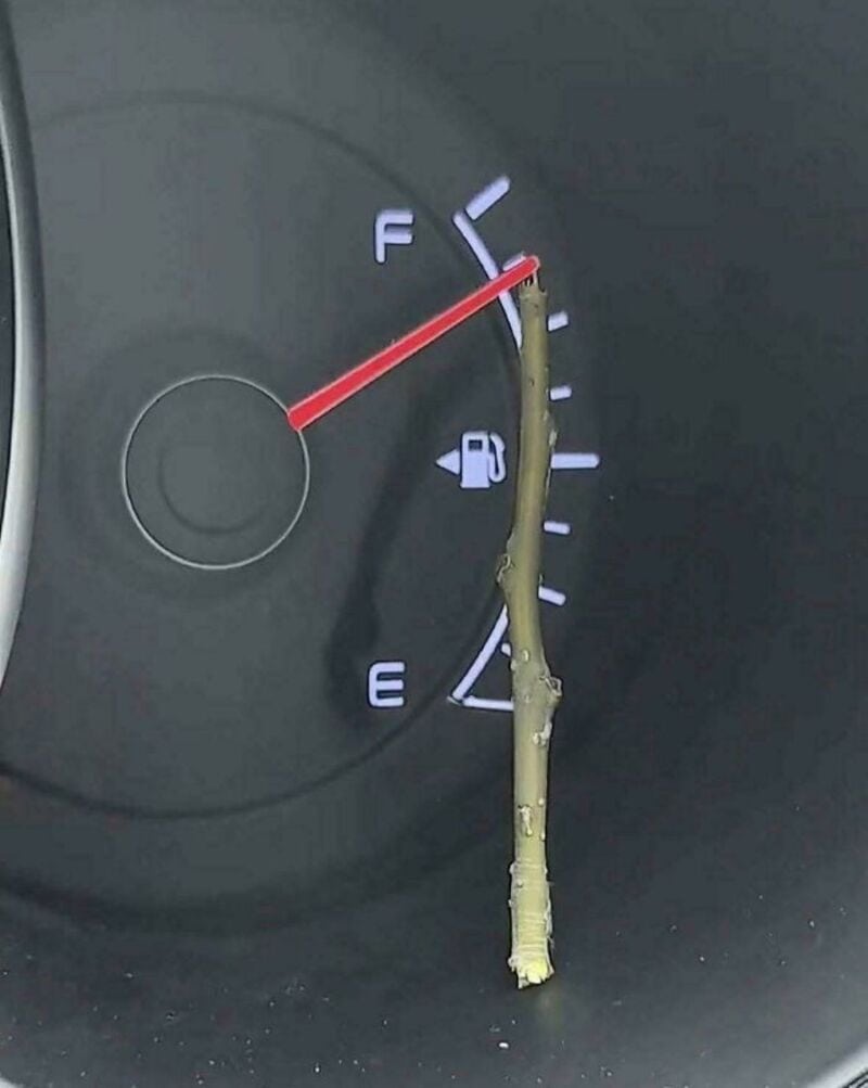 Car fuel gauge with a twig as the needle, showing full tank.