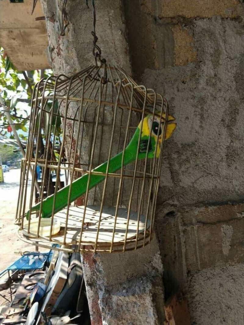 Colorful bird toy inside a rusty birdcage hanging on a wall.