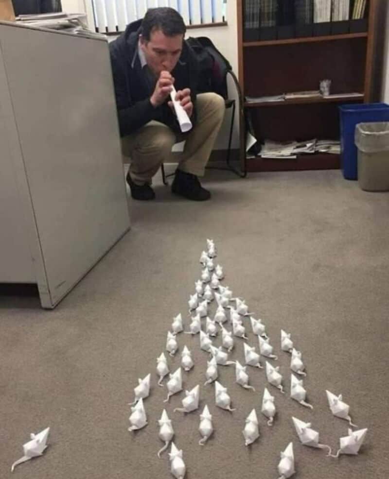 Man in an office squatting near a line of paper mice on the floor.