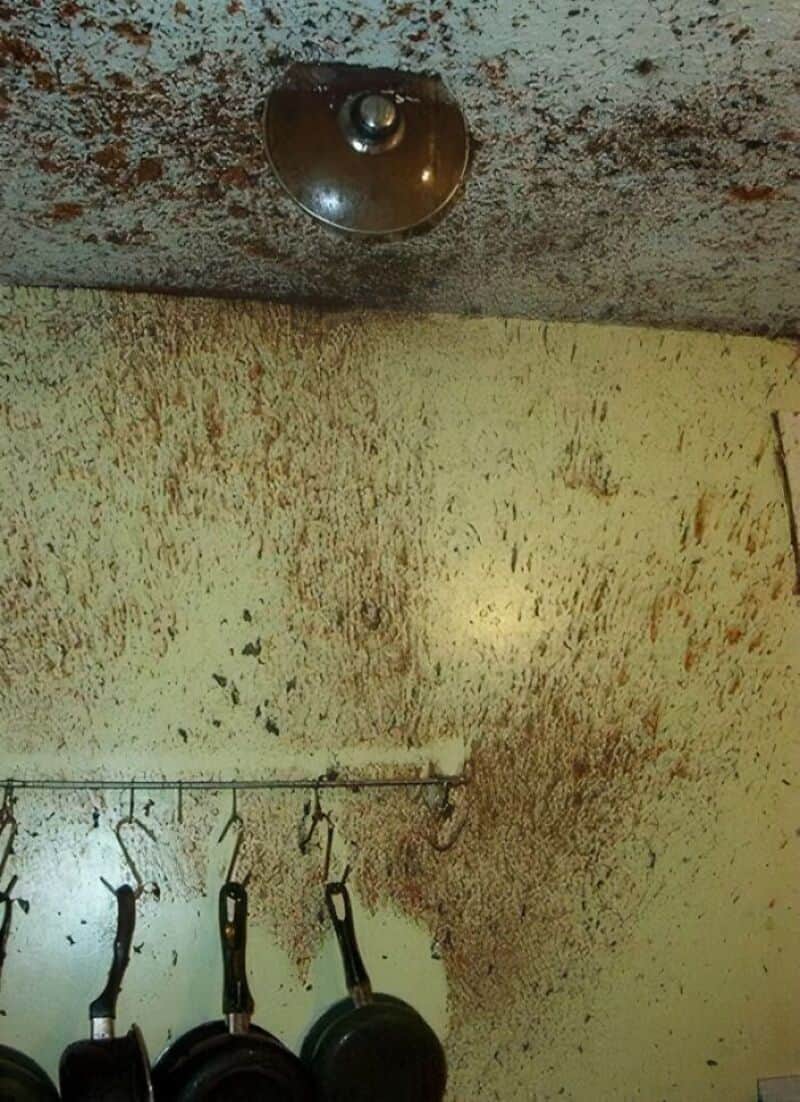 Moldy ceiling and wall with hanging pots in a kitchen.