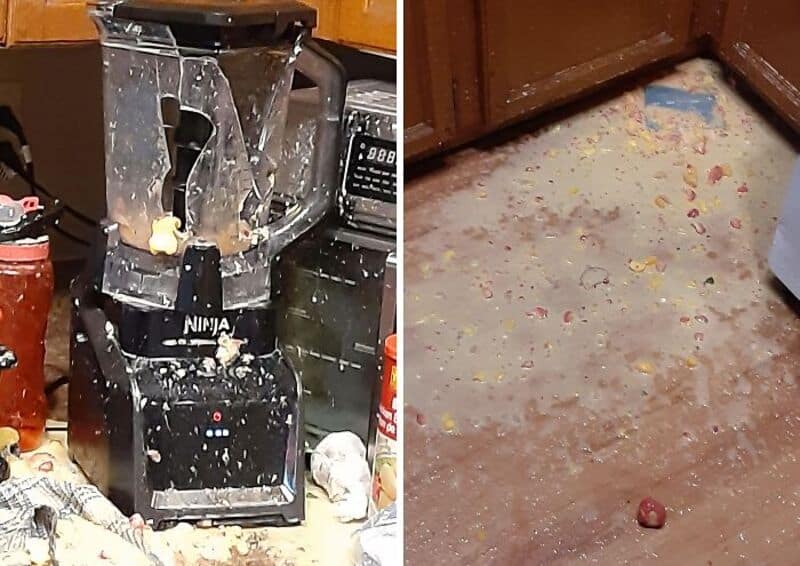 Blender broken with spilled ingredients on the floor in a messy kitchen.
