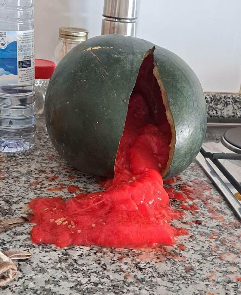 Watermelon with a large crack, spilling out red flesh onto the kitchen counter.