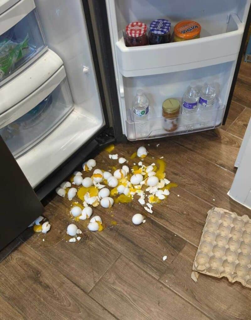 Eggs spilled on the kitchen floor with broken shells and yolk.