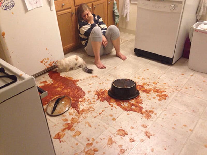 Girl sitting on kitchen floor with spilled food, cat nearby, and mess everywhere.