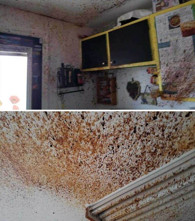 Kitchen ceiling and wall covered in rust and mold, with yellow cabinets and a window.
