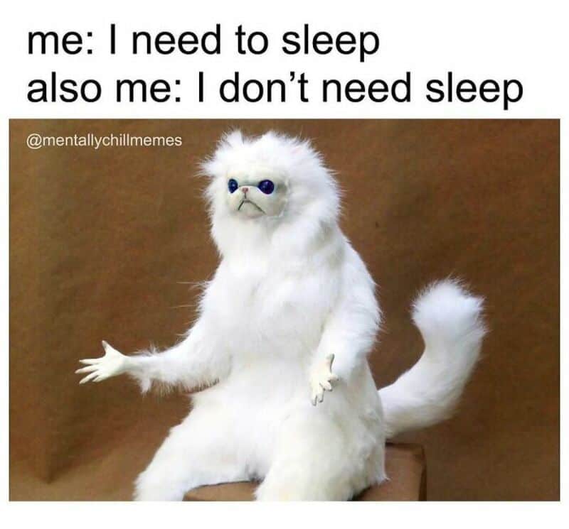 Humorous meme with a fluffy white creature and text about sleep.