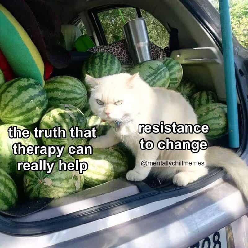 White cat among watermelons with text about therapy and resistance to change.