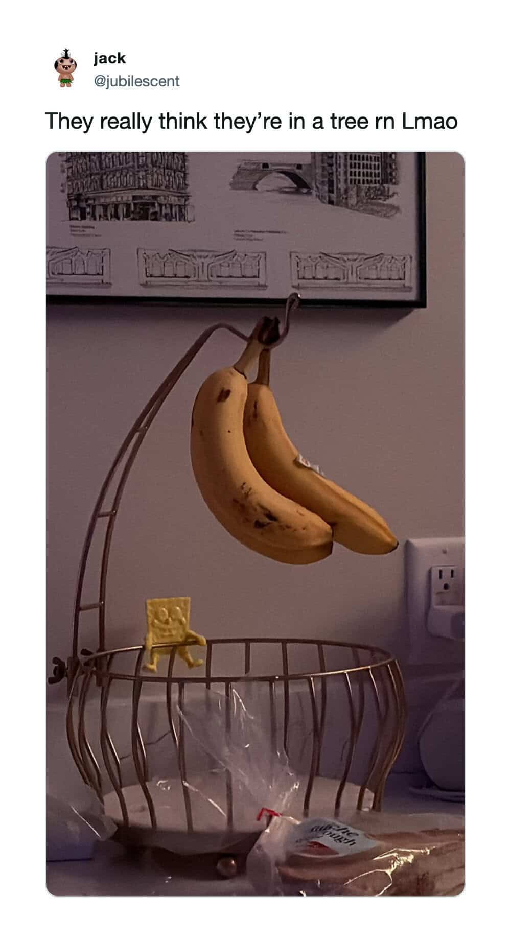 Banana hanging in a basket with a SpongeBob figure below, caption about being in a tree.
