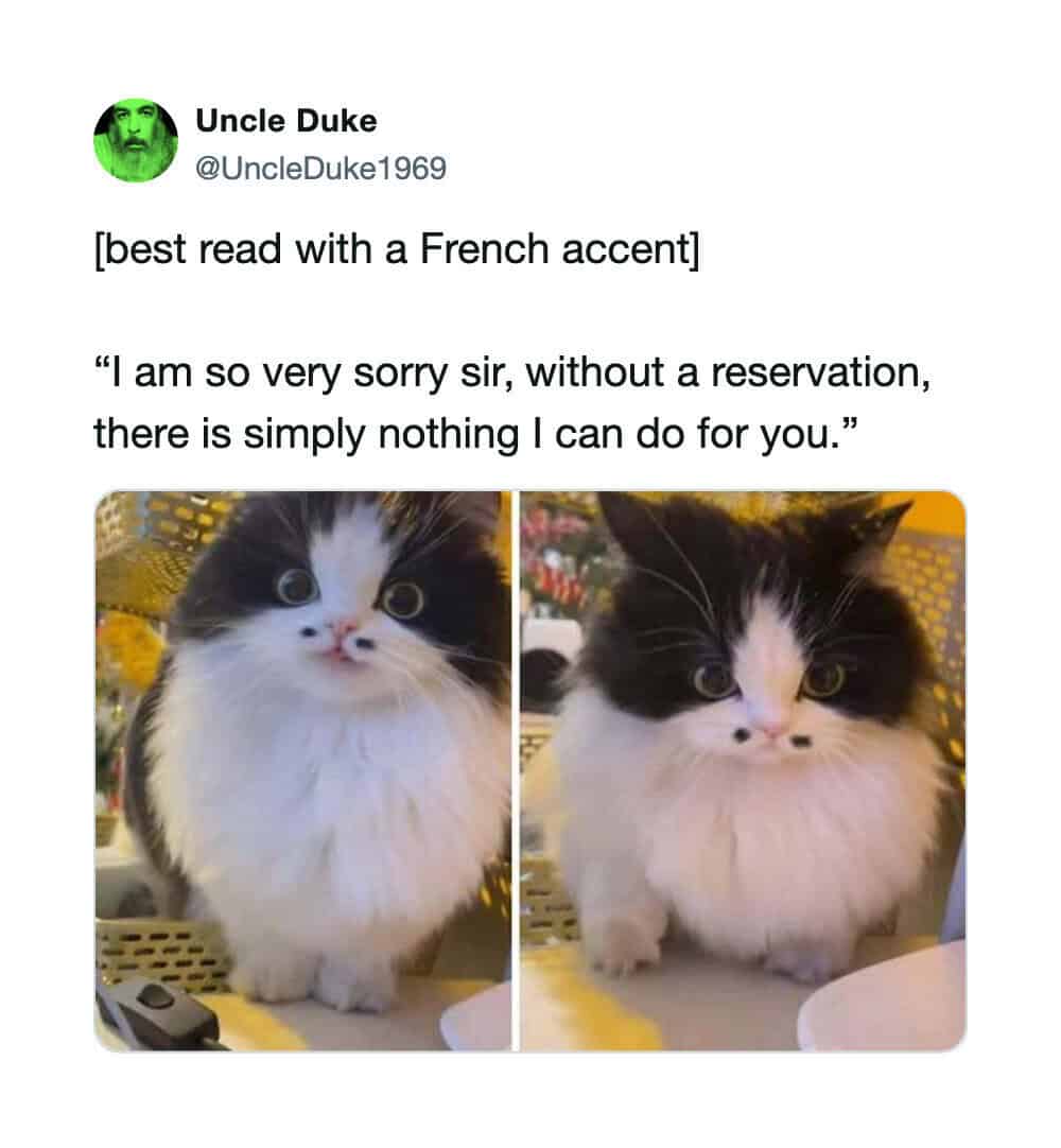 Two photos of a fluffy black and white cat with a French accent quote.