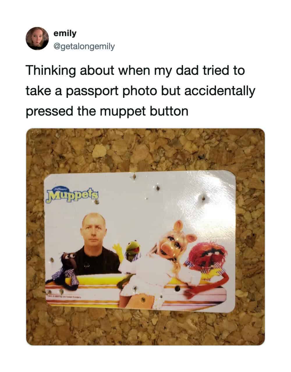 Photo of a Muppets-themed passport photo with a man and puppets, taken by mistake.