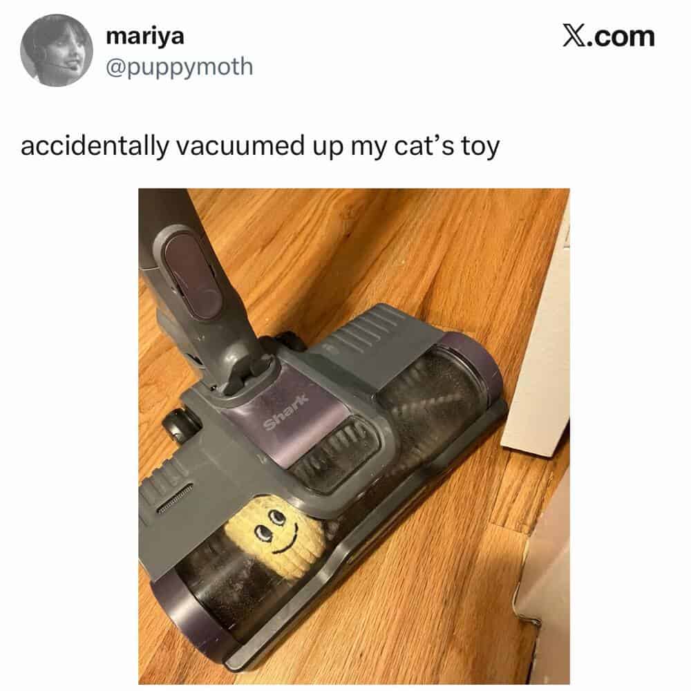 Vacuum cleaner with a cat toy inside, captioned 'accidentally vacuumed up my cat's toy'.