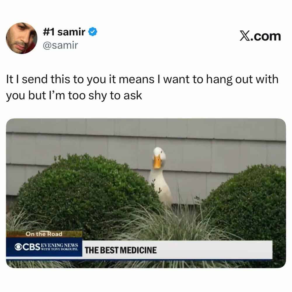 A tweet from #1 samir with a picture of a duck hiding behind bushes.