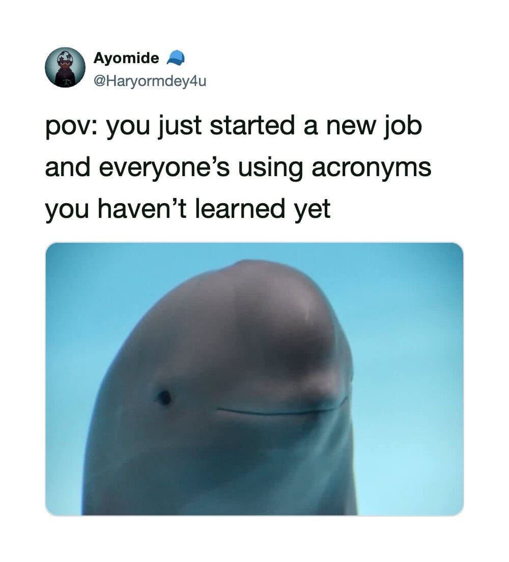 A dolphin with a neutral expression, with text about starting a new job and not knowing acronyms.