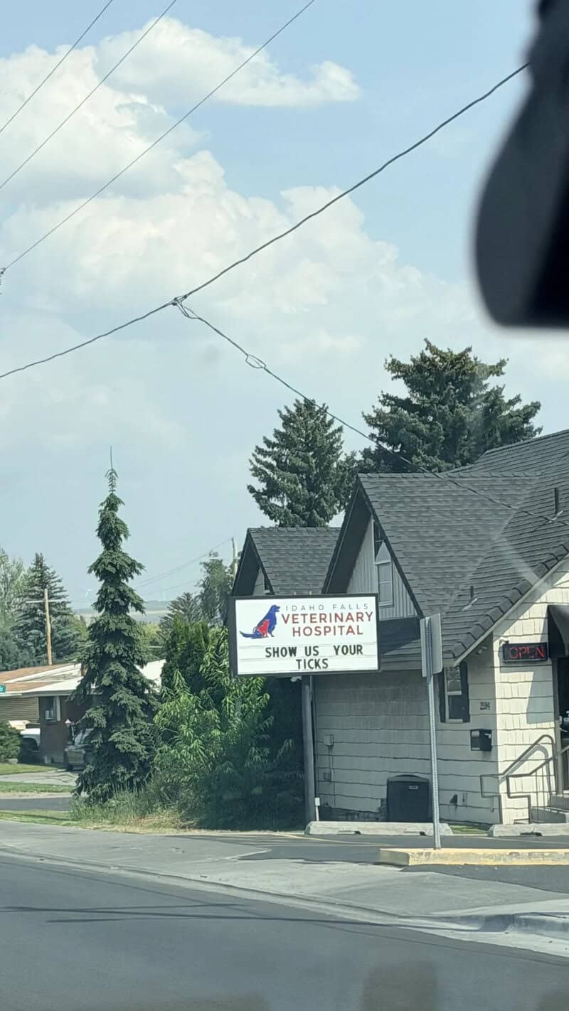 Sign for veterinary hospital with a humorous message about showing your tics.