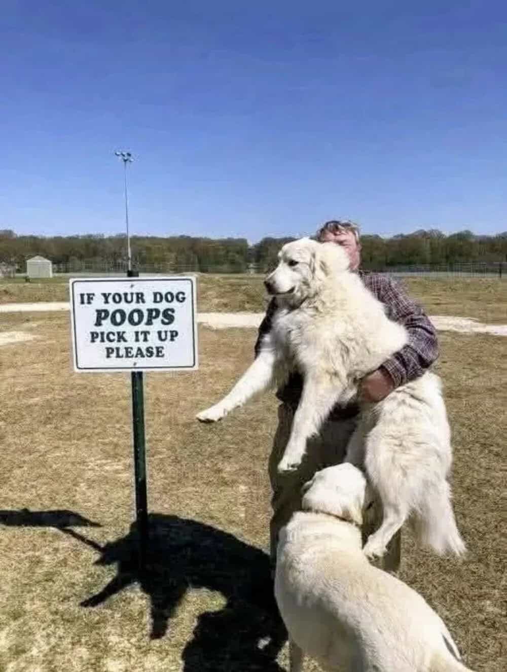 Person hugging a large dog near a sign that says 'If your dog poops pick it up please'.