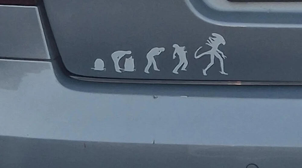 Evolution of humans from apes to modern humans on a car bumper.