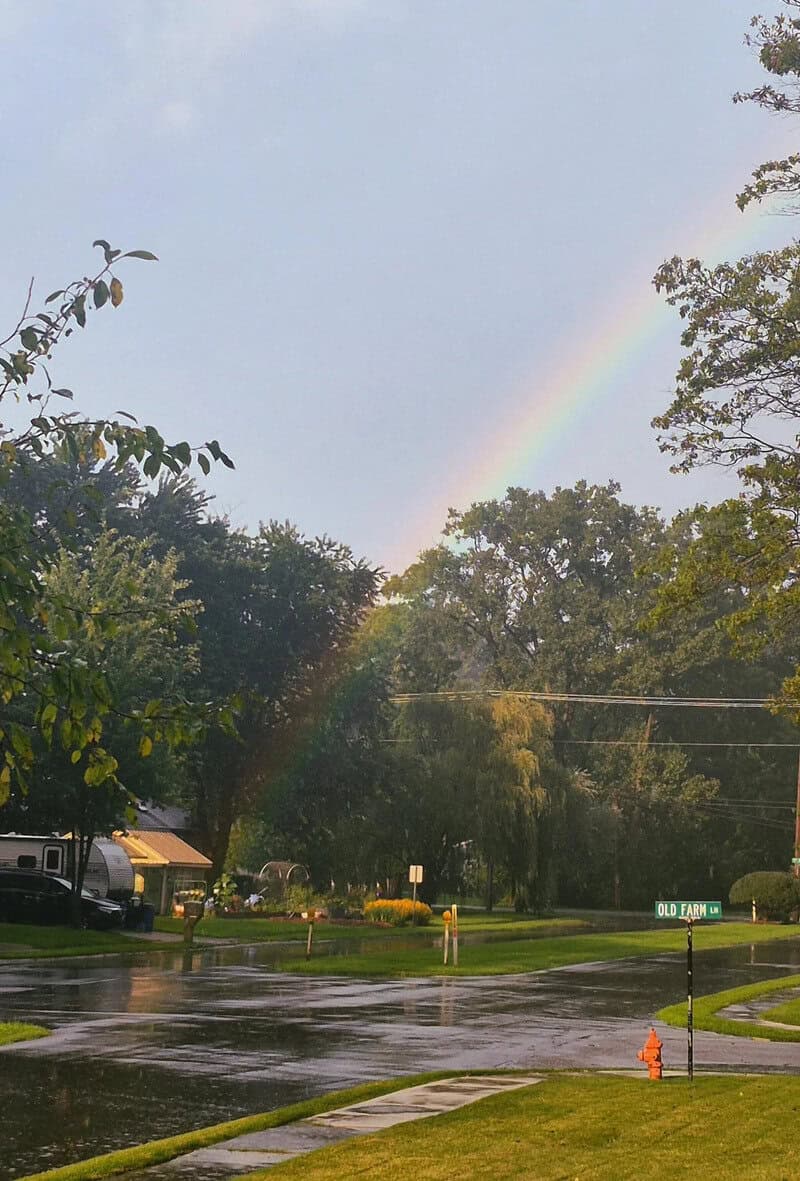 Rainbow over a neighborhood street after rain, with trees and wet pavement.
