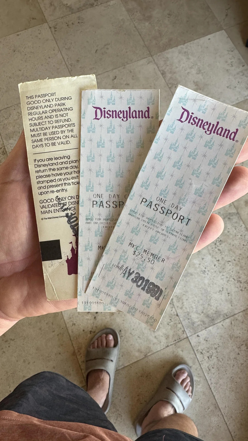 Person holding Disneyland one-day park tickets, view from above.