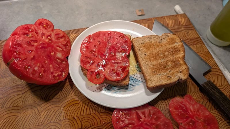 Heart-shaped tomato, sliced tomato on bread, and a slice of toast on a plate.