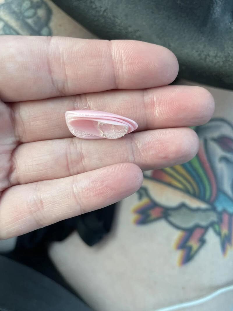 A person holding a small, pink and white striped seashell between their fingers.