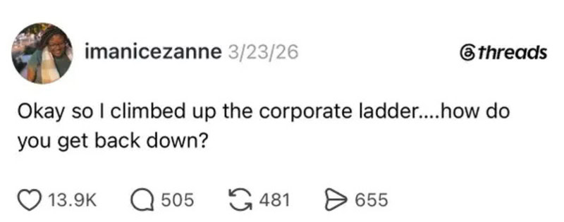 A woman climbing a corporate ladder with the caption about getting back down.