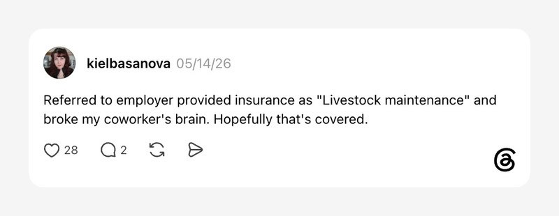 Referred to employer provided insurance as 'Livestock maintenance' and broke my coworker's brain.
