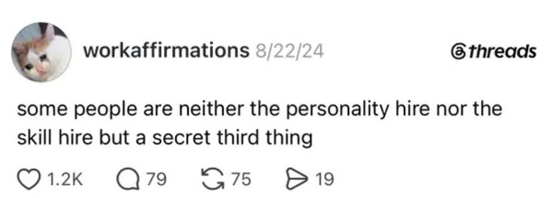 Some people are neither the personality hire nor the skill hire but a secret third thing.