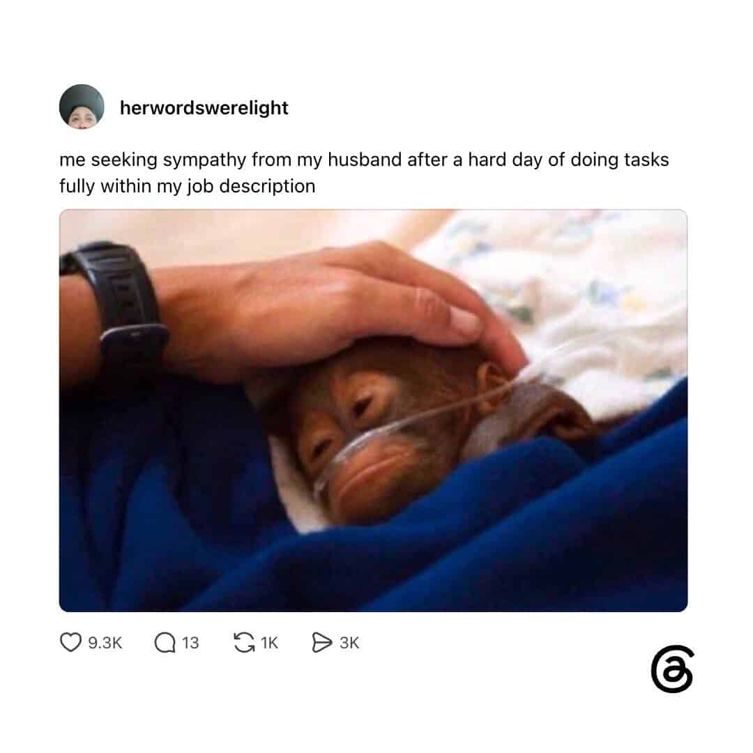A hand gently touching a small puppy's head, with the puppy lying on a blanket.