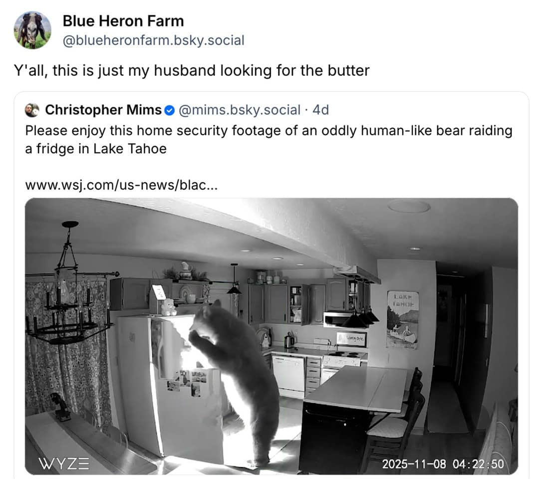 A bear raiding a fridge in a kitchen, looking for butter.