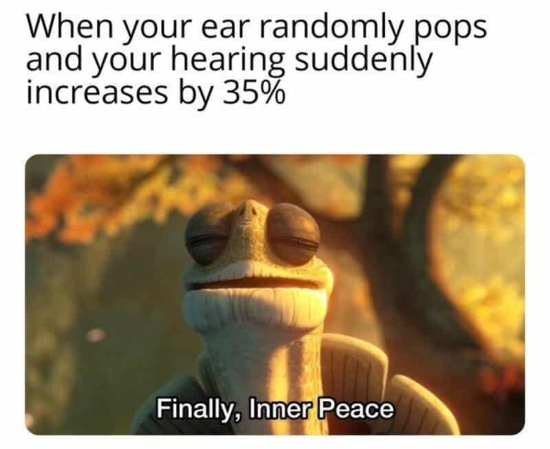 A cartoon frog with a calm expression, with the caption "Finally, Inner Peace".