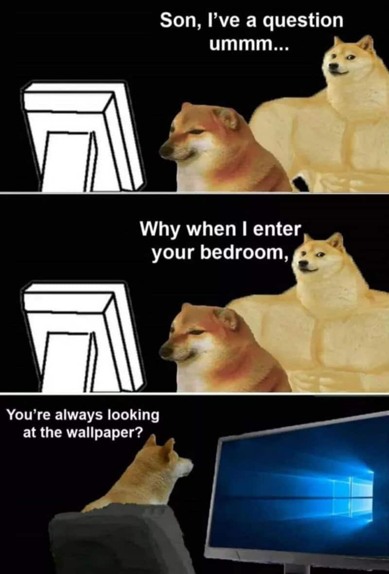 Dog meme with text about entering bedroom and wallpaper.